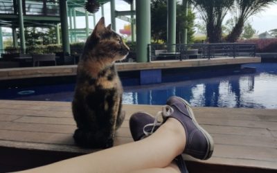 Nije uvijek loše biti solo – saznajte zašto!